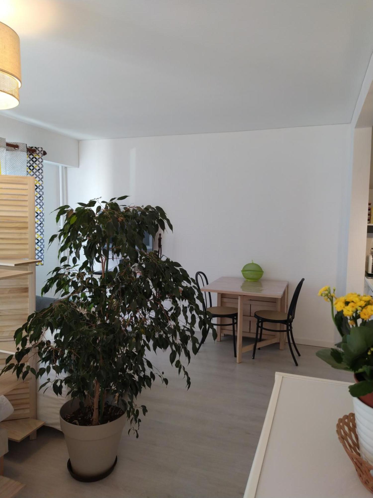 Grand studio, super équipé, 2 pas du centre-ville Montbéliard Exterior foto